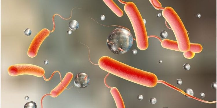 Cholera claims three lives in Tarkwa Nsuaem Municipality