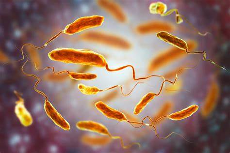 Cholera kills three at Agona West Municipality