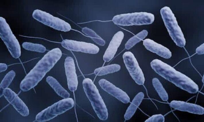 29 Cholera cases reported in Winneba