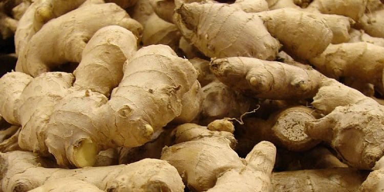 Ginger tops food inflation basket with 114% price hike