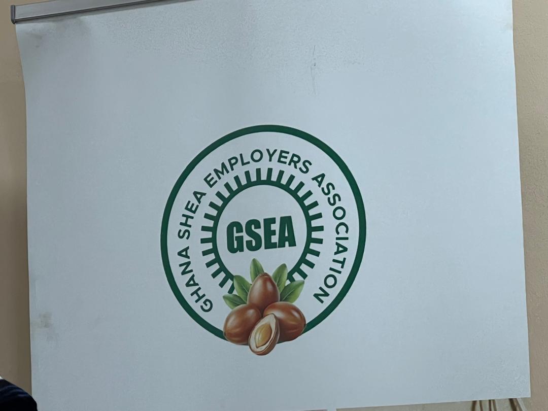Ghana Shea Employers Association urges government to ban export of Shea Nuts