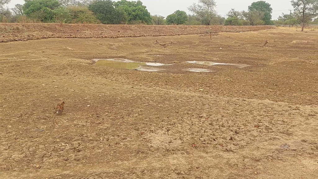 More than GH₵47 million lost to failed One Village, One Dam initiative – NORPRA