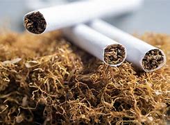 ‘No form of tobacco is safe for consumption, shisha isn’t safe’ – FDA warns