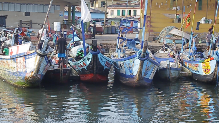 Stakeholders validate draft of new Fisheries Bill