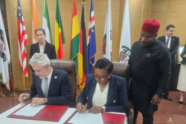 Germany commits €49 million to support ECOWAS peace, economic and health initiatives in West Africa