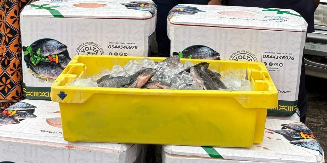 AgriFair: We’re coming with 5 tonnes of fresh tilapia – Tropo Farms
