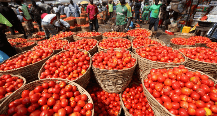 Ghana targets up to 300,000 metric tonnes of dry season tomatoes in 3 years – Dumelo
