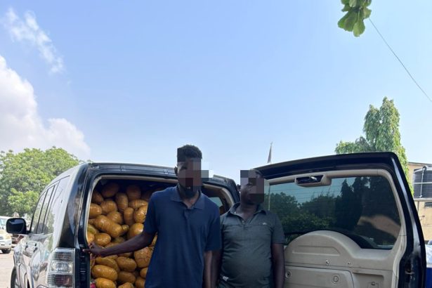 Tema Police intercept over 1,600 parcels of suspected narcotic drugs; two arrested
