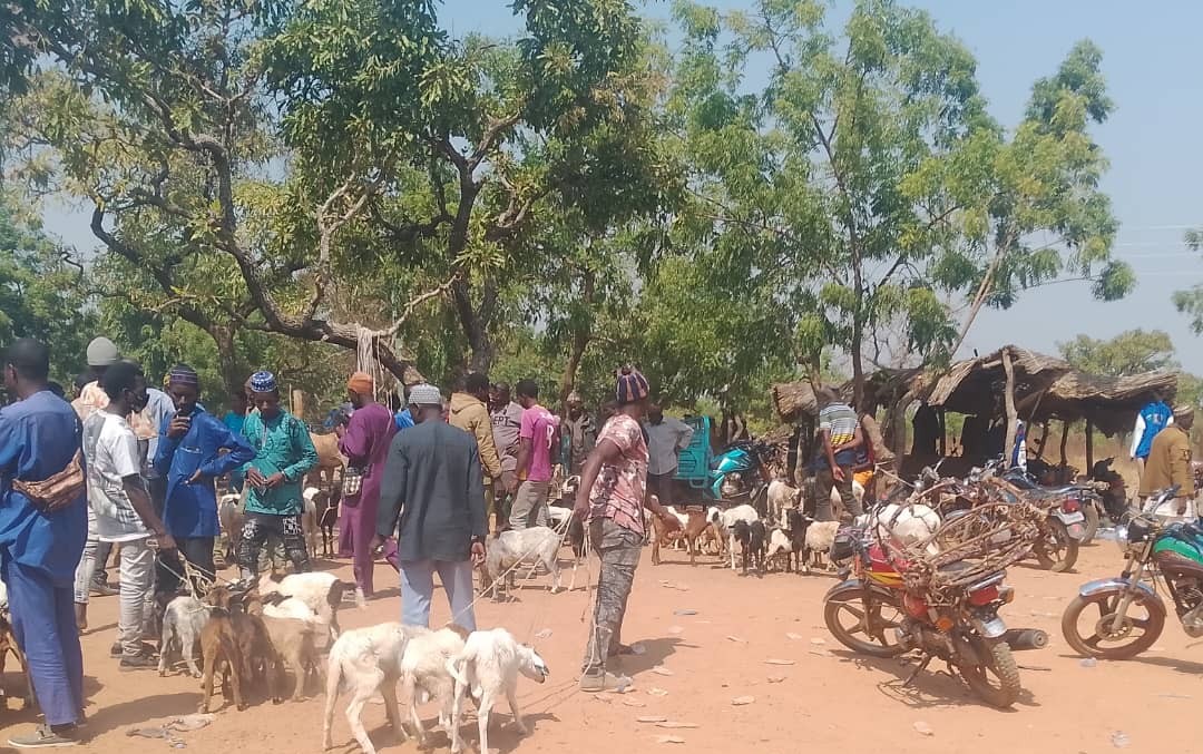 Mankarigu market dispute triggers protest by NDC executives in Savannah Region