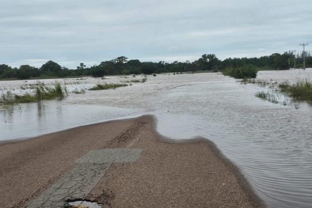 WaterAid launches emergency appeal as countries in Southern Africa battle devastating floods amid fears of a cholera crisis