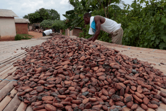 Cocoa sector crisis poses a national security threat and danger to Ghana’s economy – IERPP to Government