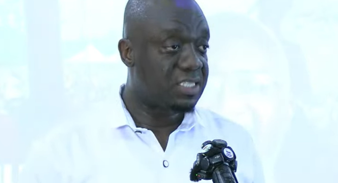 NPP to maintain bottom-up approach in upcoming internal elections