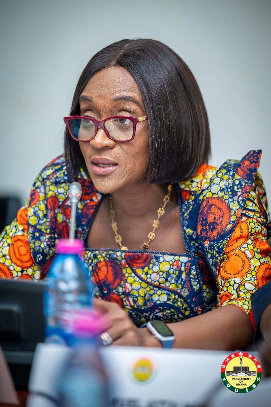 PAC Chair raises concerns about gaps in Auditor General's special audit report