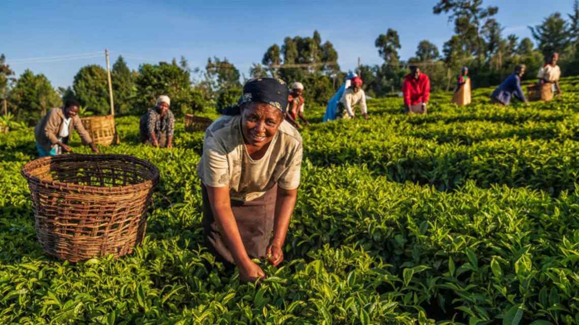MP calls for stronger financial inclusion and innovative support to improve livelihoods of farmers