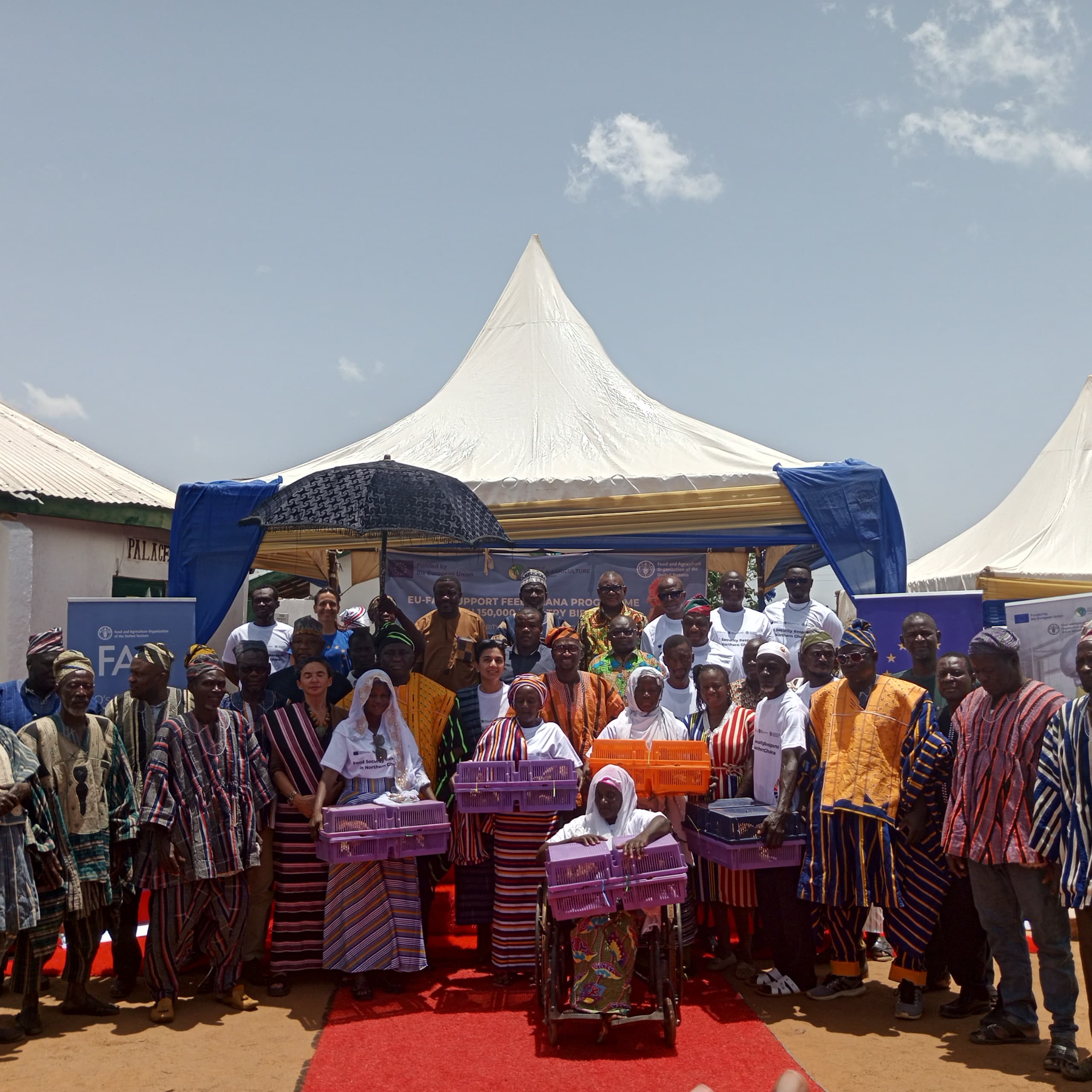 EU-FAO Supports Poultry Initiative in North East Gonja with 150,000 Birds