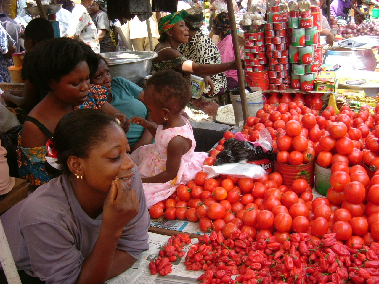 $600m tomato imports undermining Ghana’s economy — Chamber of Agribusiness