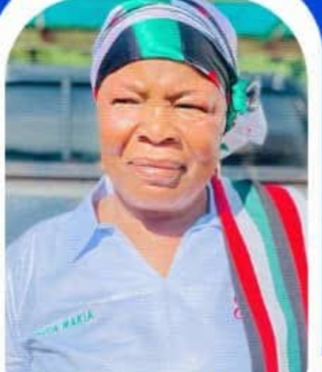 "Untouchable" Sagnarigu NDC Women Organiser Faces First Serious Challenge