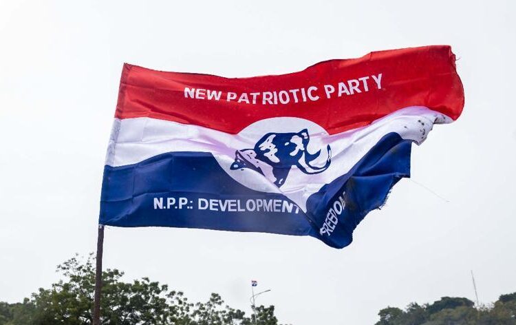 NPP electoral area aspirants in Gushegu allege manipulation of committee elections
