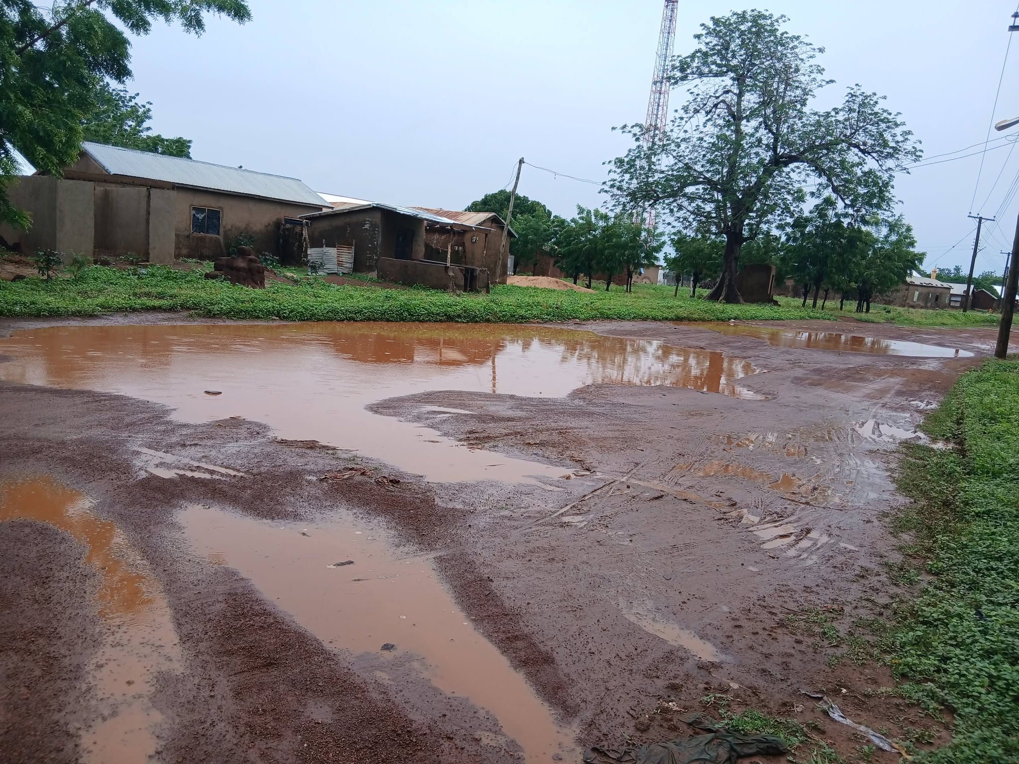 Nanton District: Residents Of Janjori Kukuo Cry Out Over Deplorable Road Conditions